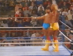 hulk hogan hes not leaping now lanny poffo