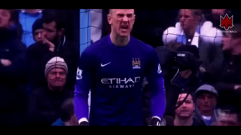 manchester city hart joe