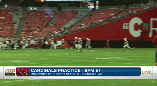 football watch brown