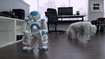 dog robot