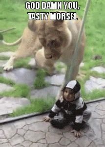 animal child lion