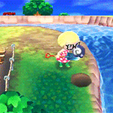 video games animal crossing screeches