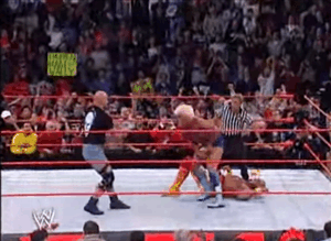 hulk hogan stone cold steve austin hulkamania