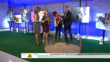 today the show kathie lee