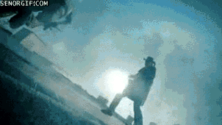 cheezburger video games fight