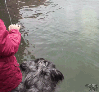 football big preview