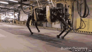 cheezburger technology robots