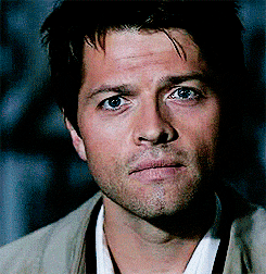 supernatural puppy castiel