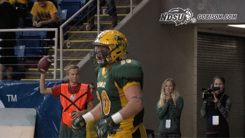 ndsuathletics bison ndsu north dakota state