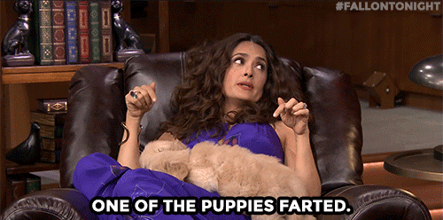 celebs salma hayek pup quiz