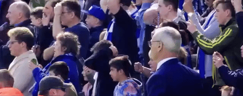 lcfc epl leicester city fc