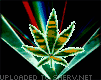 marijuana pot emoticon