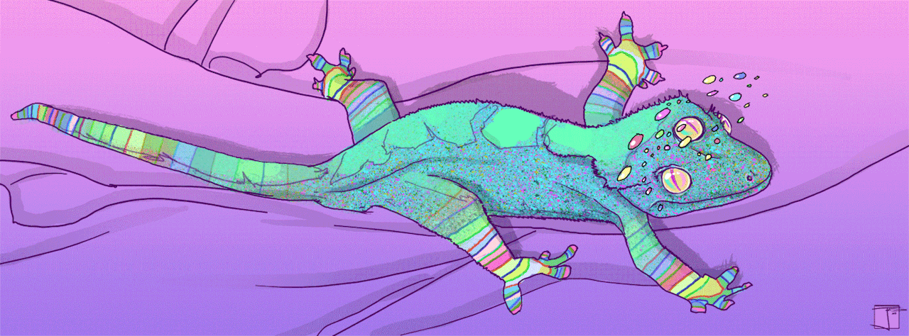 psychedelic art gecko cute pet