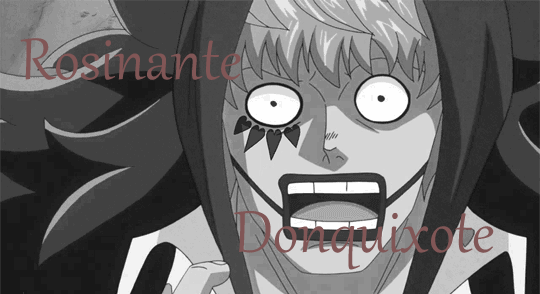 one piece rosinante donquixote