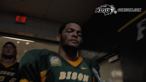 ndsuathletics bison ndsu north dakota state