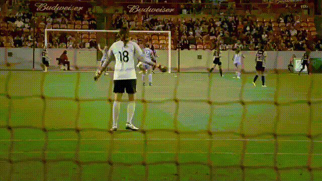 houstondash goalkeeper keeper gk