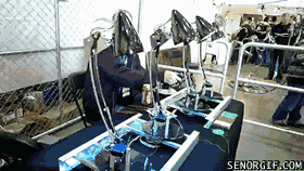 cheezburger want robots