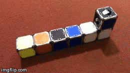 mit john romanishin popular science