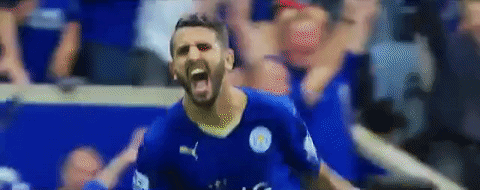 lcfc epl leicester city fc