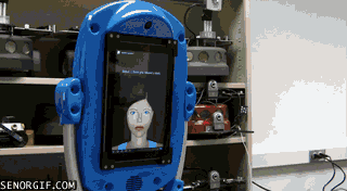 cheezburger fashion yikes