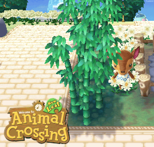 video games nintendo 3ds