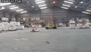 cheezburger video games fail speed