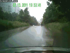 cheezburger video games wtf cars