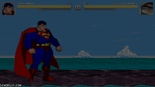 cheezburger superman video games killer whale