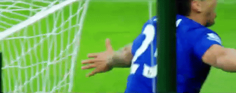 lcfc epl leicester city fc