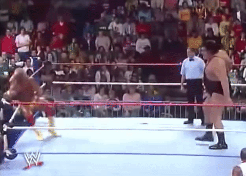 wwe hulk hogan andre the giant