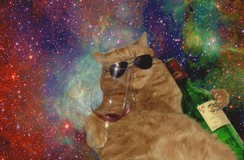 cat trippy space