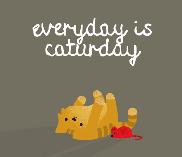 cat everyday caturday