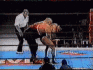 pro wrestling inoki suplexing