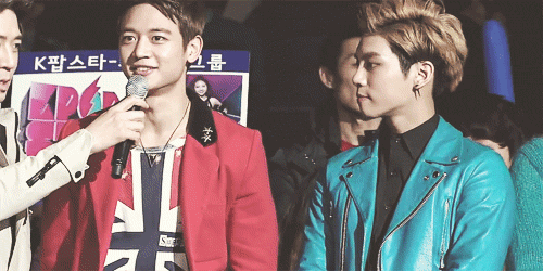 shinee puppy minho