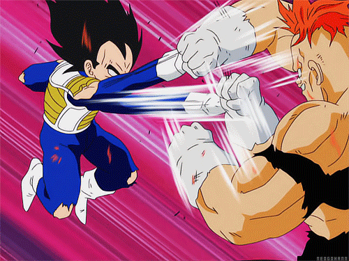 fighting dragon ball z