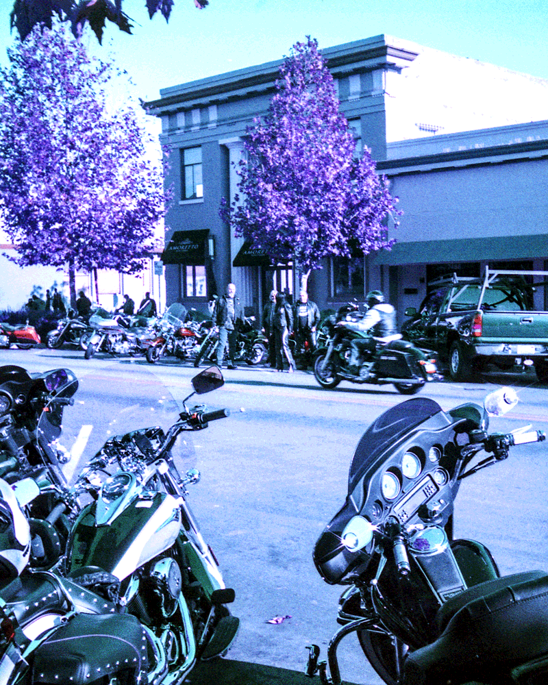 docpop motorcycle bike gang gilroy