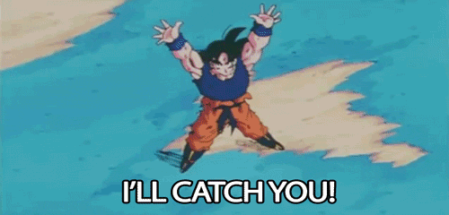 dragon ball z ill catch you