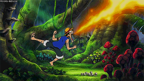 one piece monkey d luffy