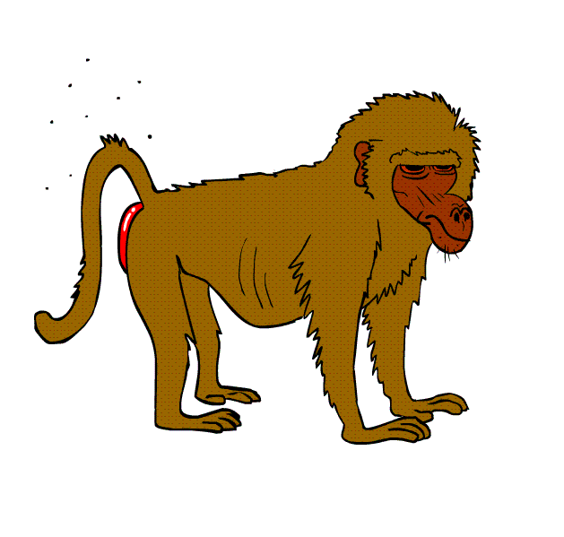 artists on tumblr monkey baboon