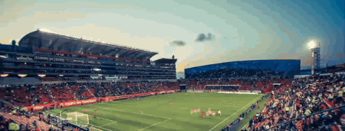 football soccer futbol