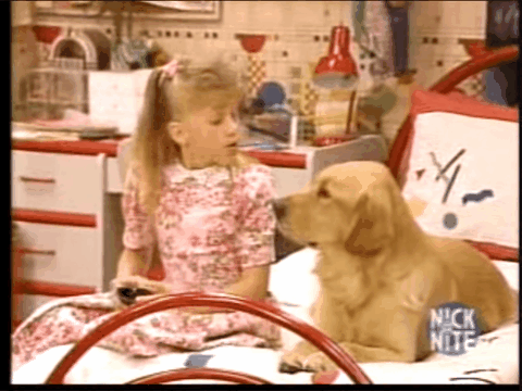 dog full house comet