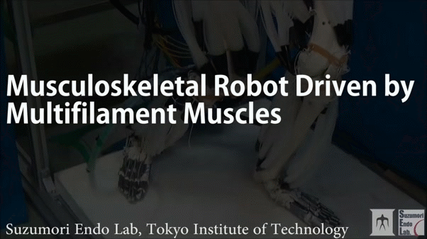 robot musculoskeletal