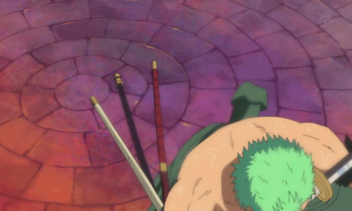 one piece zoro