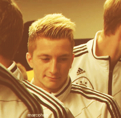 football bvb borussia dortmund