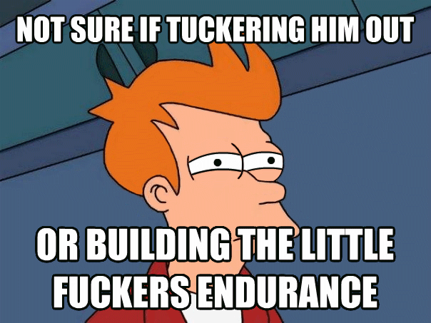 puppy runs hyperactivity