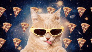 pizza cat gif