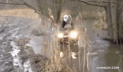 epic mixed gif atv