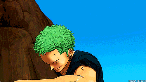 one piece zoro my anime