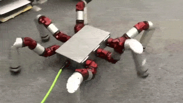 cheetah atlas factor