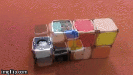 mit john romanishin popular science